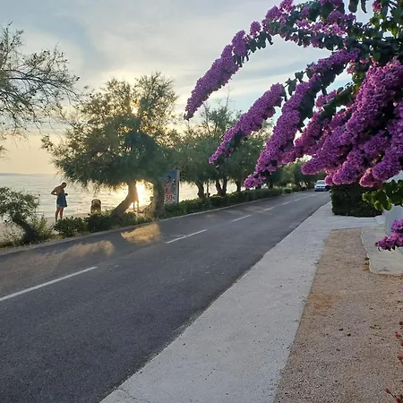 Matesic * Zadar